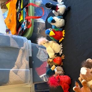 Beanie babies Colorful Plush Bird Toys